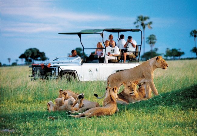 Kruger National Park