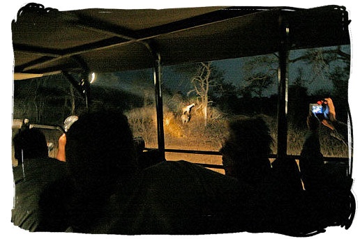 Kruger National Park