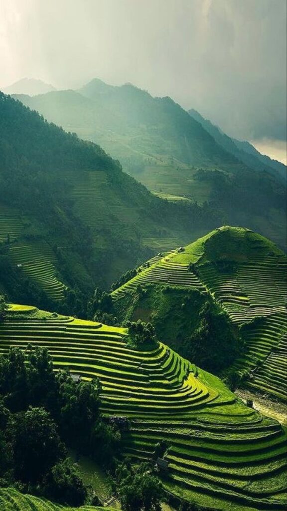 The Ultimate Guide to the Luxury Travel Planning Top Places Rwanda, Eco Tourism
