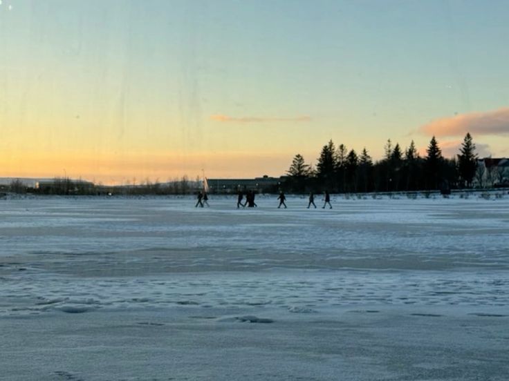 The Ultimate Guide to the Luxury Travel Planning Top Places Tjörnin Lake