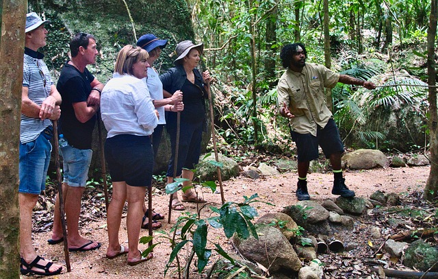 The Traveler Hired the Wrong Tour Guide