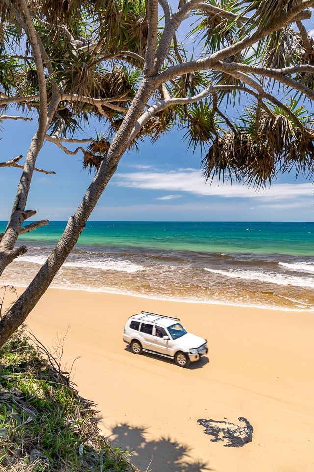 Fraser Island Tours