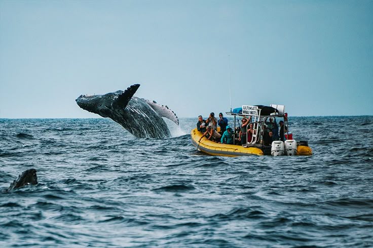Fraser Island Tours