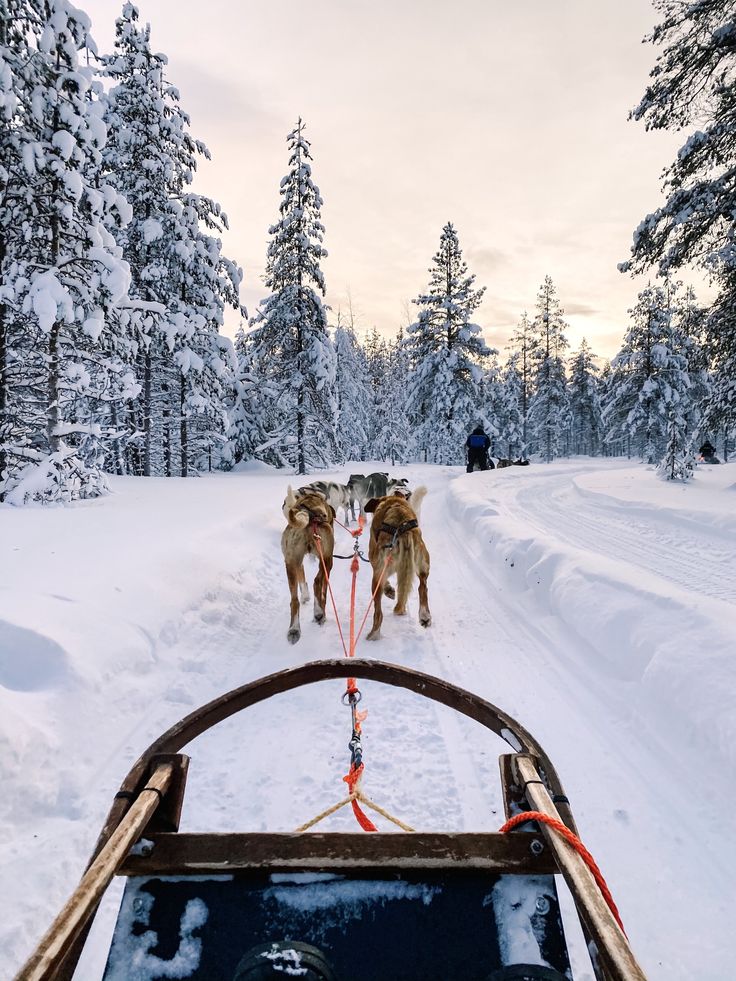 Finland Escorted Tours
