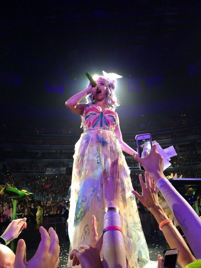 The Ultimate Guide to the Luxury Travel Planning Top Places katy perry tour america
