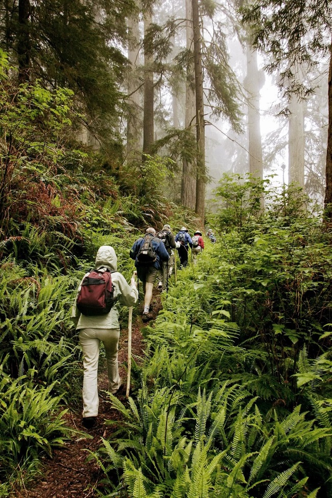 The Ultimate Guide to the Luxury Travel Planning Top Places Sustainable tourism