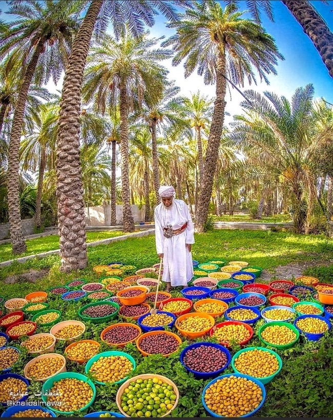 The Ultimate Guide to the Luxury Travel Planning Top Places Tour to Oman from USA