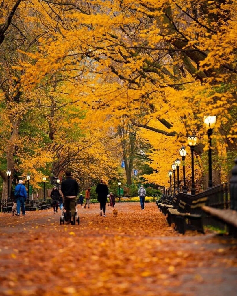 The Ultimate Guide to the Luxury Travel Planning Top Places New York