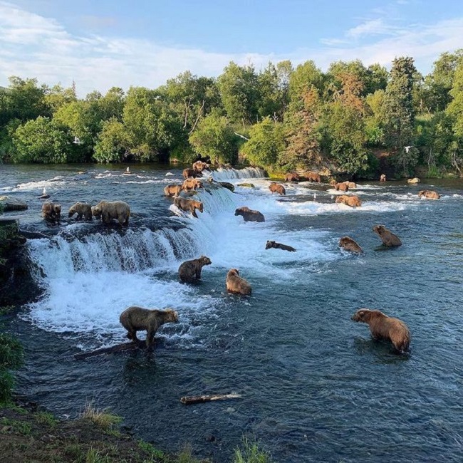 The Ultimate Guide to the Luxury Travel Planning Top Places alaska aju tour