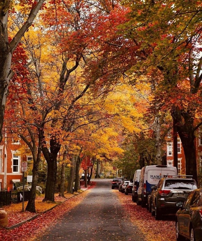 The Ultimate Guide to the Luxury Travel Planning Top Places infinity tour